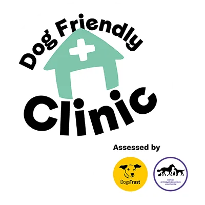 chess dog friendly clinic