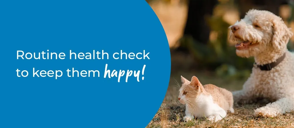 Pet Health Check in Hertfordshire | Preventative Vet Care