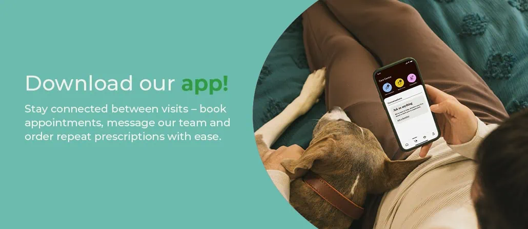 Have you downloaded our app yet?