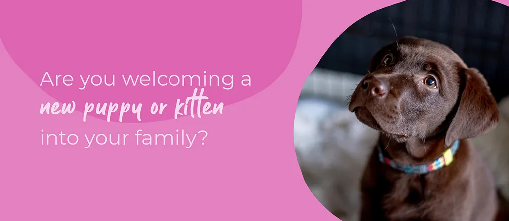 Welcoming your new puppy or kitten