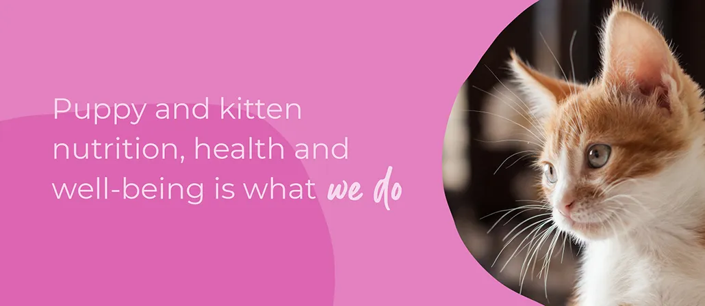 Welcoming your new puppy or kitten