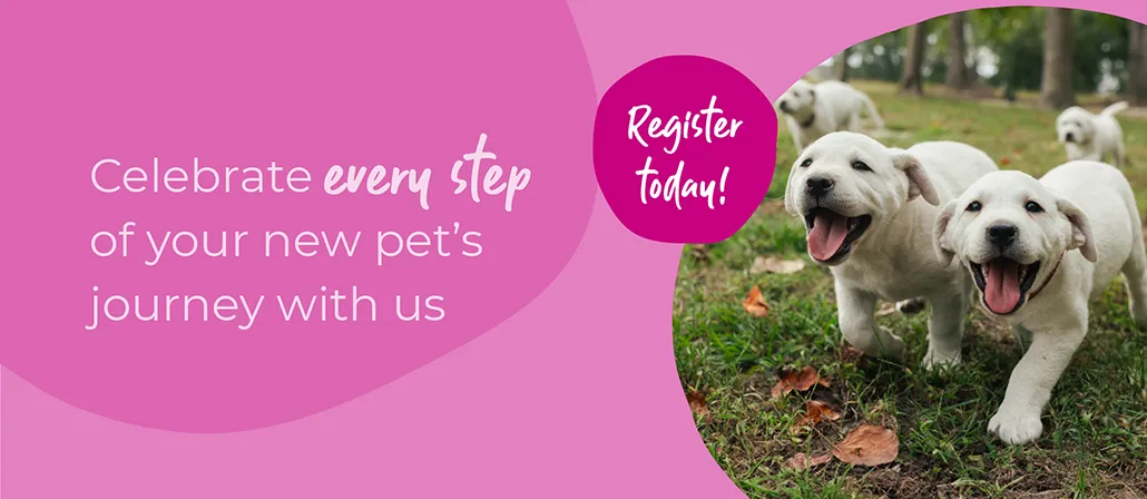 Welcoming your new puppy or kitten