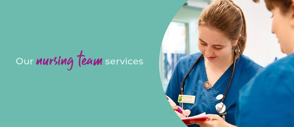 Veterinary Nurse Clinics