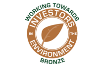 chess bronze iie logo